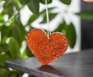Cinnamon + Vanilla Scented Air Fresheners | Car Accessories | Car Fresheners | Room Air Fresheners | Non - toxic Home Fragrance | Gift Ideas - West Michigan Candle Co.