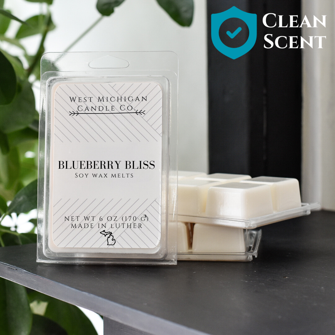 CLEARANCE Blueberry Bliss Soy Scented Wax Melts | Wax Cubes for Warmer | Non-Toxic | Handmade