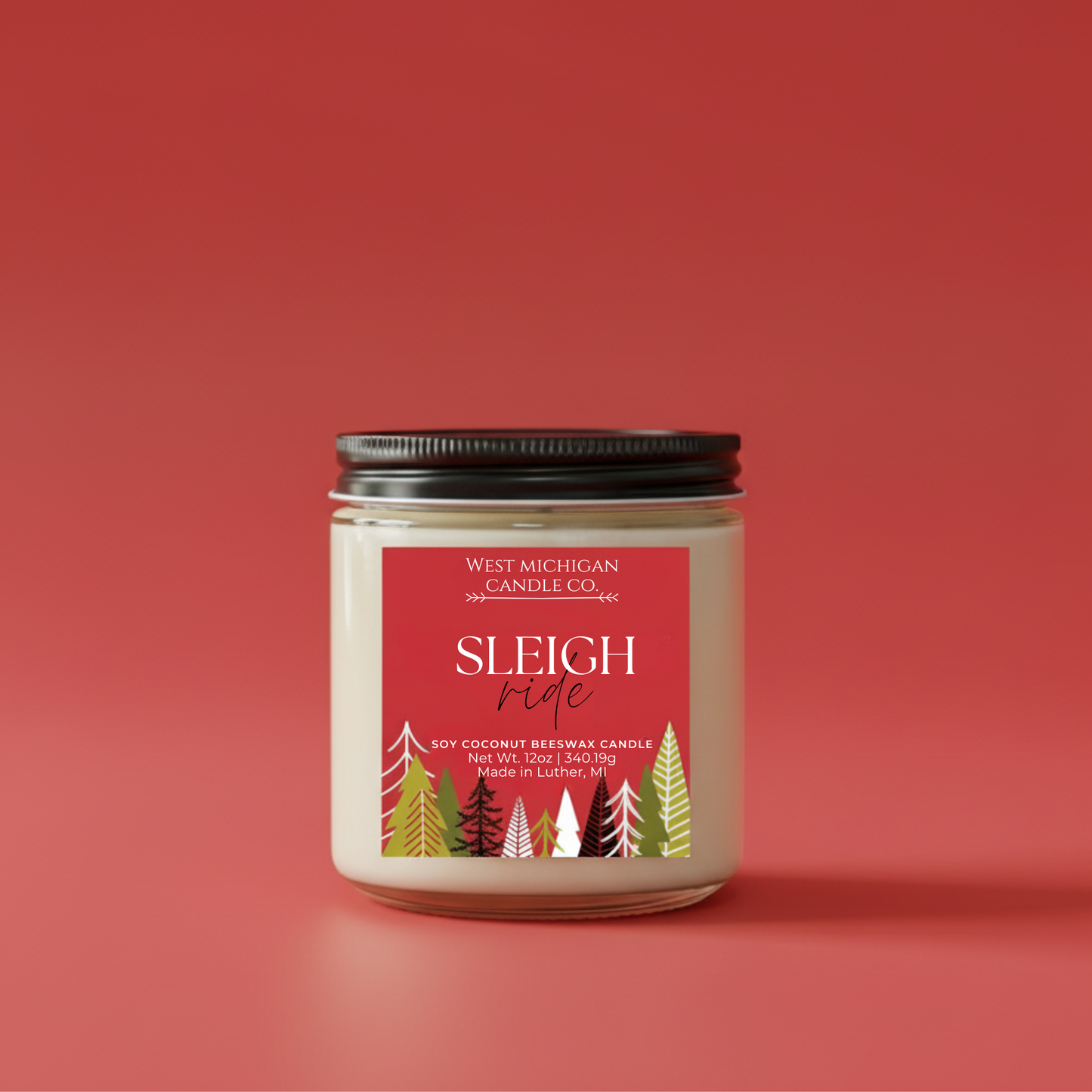 Sleigh Ride Candle - Clean Scent, Natural Soy Coconut Beeswax Wax Blend | Holiday Gift (12 0z)