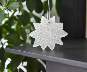 Spa Day Air Freshener for car, closet, gym bag, purse, locker, and more. Color: White, Shape: Sunflower.