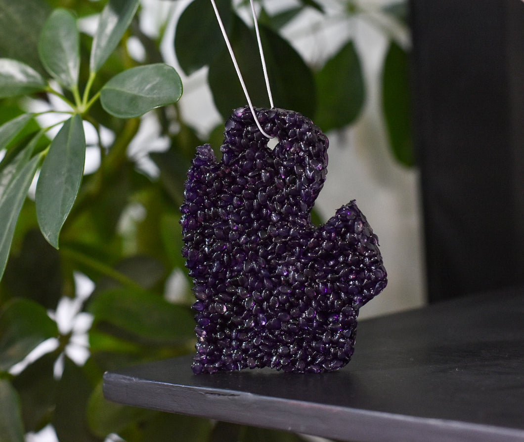Blueberry Air Freshener for car, closet, gym bag, purse, locker, and more.  Color:  Purple, Shape: Lower Michigan (Mitten).